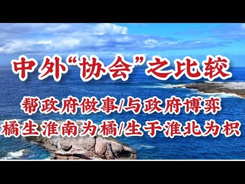 527期: 中外“协会”差异比较｜出身决定命运｜中国是权力延伸｜西方是利益联合｜执行政策与影响政策｜掌握隐性权力与依赖市场权威｜关系驱动与规则驱动的分野｜真正差异在于权力结构