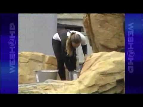 Family Recounts Horrific Attack At SeaWorld