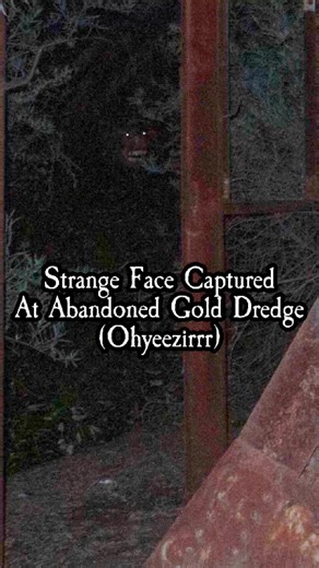 14K views · 387 reactions | This Reddit user (Ohyeezirrr) claims to have caught a strange face while taking a picture of an abandoned gold dredge. The face clearly has glowing eyes, big sharp teeth and you can king of make out of nose. Is this a creepy case of pareidolia or is this truly something paranormal? Comment your thoughts. #strange #pareidolia #creepy #paranormal #inthewoods | The Scarecast | Facebook