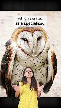 Baby owls look like ALIENS