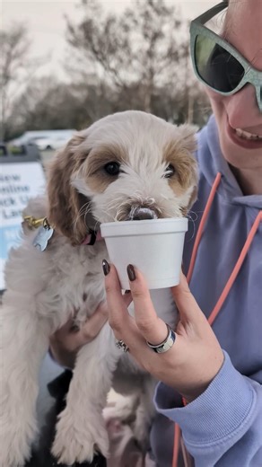 My puppy reacts to her first pup cup 🥺