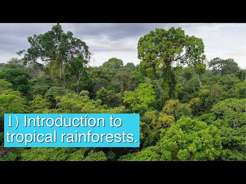 Introduction to tropical rainforests - AQA GCSE Geography Unit 1B
