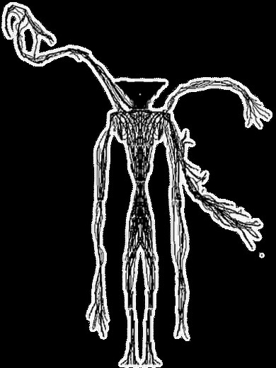 the broken script for Minecraft PE and bedrock #dweller #minecraftbedrock #minecraftaddon #minecraft