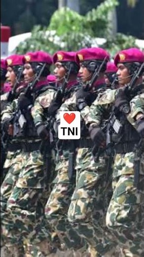 TNI INDONESIA