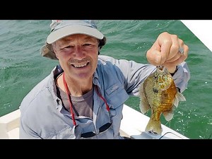 New Eye Drops are Pulling in the Panfish!