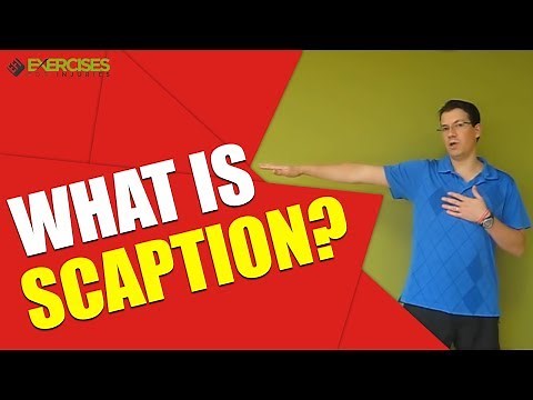 What is Scaption?