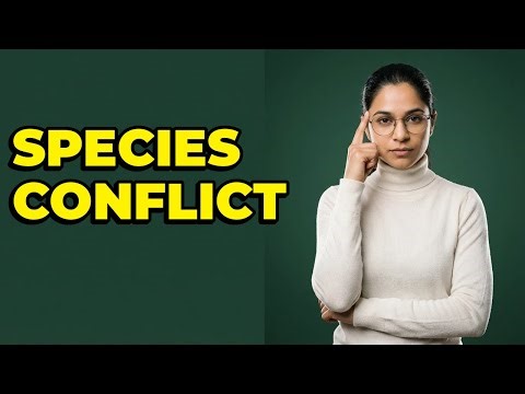 When Does Competitive Exclusion Prevent Coexistence?