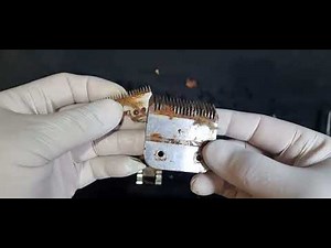 Don't let this happen to your clipper blades