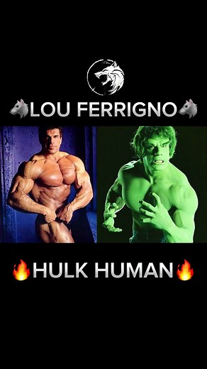 Wolfbodybuilding no TikTok