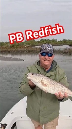 Redfish on paddletail #fishing #redfish #flatsfishing #inshorefishing