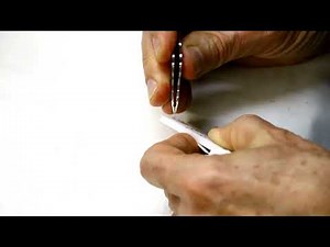 Ear Seeds Demonstration