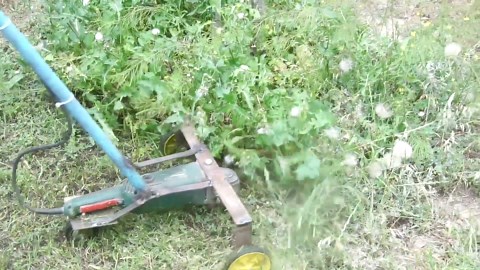 Garden inventions you have not seen yet