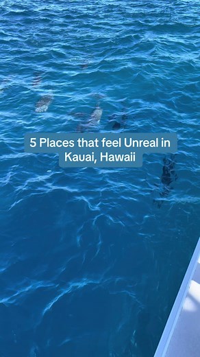 Best Things to Do in Kauai, Hawaii - Must-See Attractions