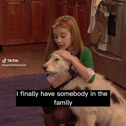 Stan the Talking Dog in 'Stan of the House' - Part 5/12