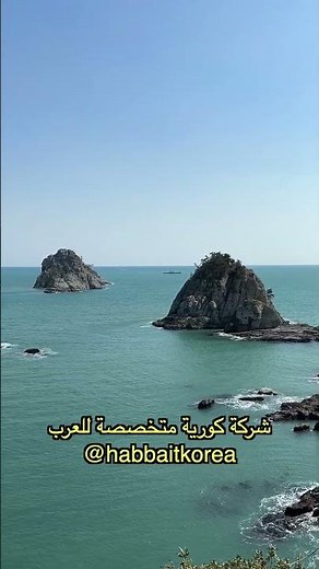 رحلتنا المجنونة في بوسان 😍🇰🇷 | حبيبي، كم تو كوريا!