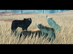 Yellowstone Unleashed | Update