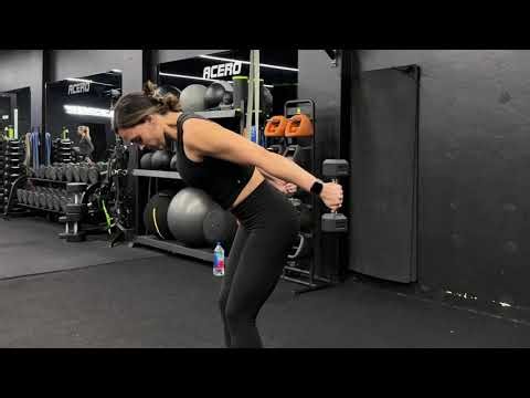 TRICEPS DB KICK BACK