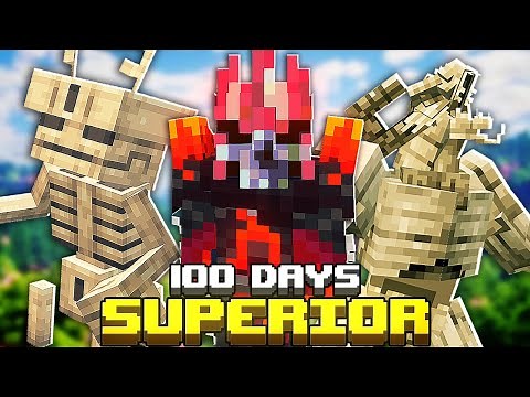 I Spent 100 Days in The SUPERIOR Minecraft RPG