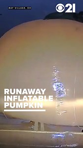 Runaway inflatable pumpkin eludes officer on Ohio roadway READ MORE: https://bit.ly/3NrCjif #viral #pumpkin #halloween #news #caughtoncamera #ohio #inflatable #runaway #giantpumpkin | Local 21 CBS News, WHP Harrisburg