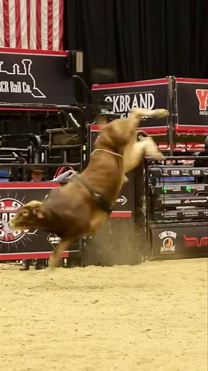 You Be The Judge! Watch this video and let us know in the comments what you would mark this bull. | American Bucking Bull Inc.