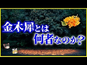[Slow-Paced Explanation] The Truth Behind the Rumors Surrounding Osmanthus...!? What Exactly Is O...