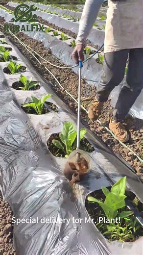 VIP Room Service for Plants?! 🥬 This Farming Hack is Pure Genius! 🧠 #farming #lifehacks