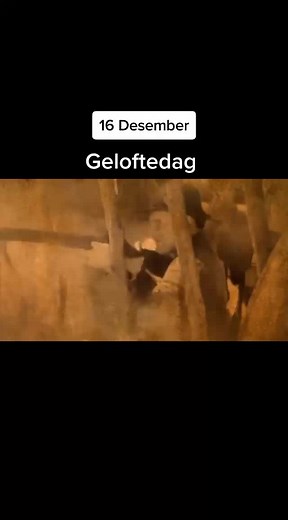 #gelofte #bloedrivier #bloedgrond #boere #fyp #voortrekkermonument #vo... | TikTok