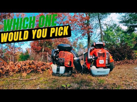 Echo Vs Husqvarna leaf blower.