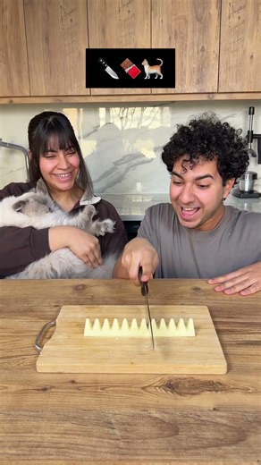 No no no no yess!! 🤪🐈🍫