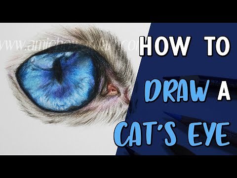 HOW TO DRAW A CAT'S EYE | Coloured Pencil Drawing Tutorial