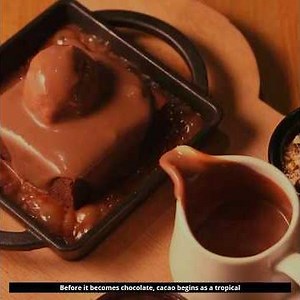 Before It Becomes Chocolate… The Science Inside Cacao