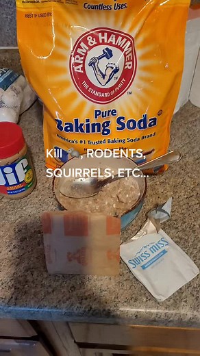 Kill pests, rats 🐀 rodents....Household mixture..#rats #rodents #exterminator #bakingsoda #peanutbutter #oats