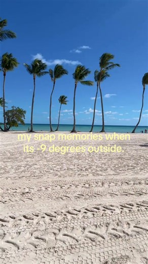 Cherishing Summer Memories in Winter