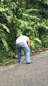 Heroes don’t always wear capes 🛟❤️ #Top5Rescues #RealLifeHeroes #PeopleAreAwesome #Heartwarming | People Are Awesome