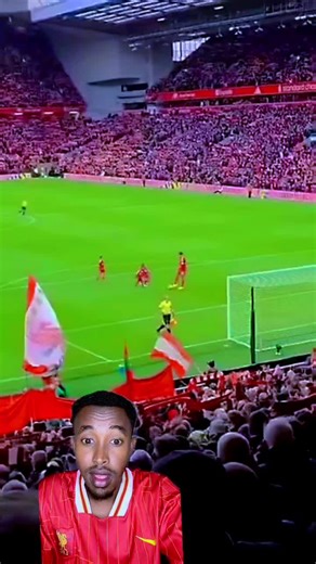 Discover the Saxnuuni Experience