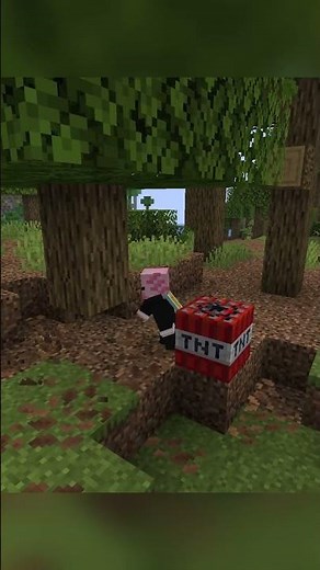 The Most UNPREDICTABLE Minecraft Mod Ever!! #minecraft #chaosmod