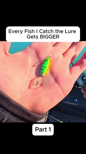 Fishing Adventures: Catching Bigger Fish with Bigger Lures