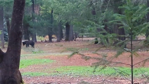 2.6K views | Mike Jones on Reels | Facebook