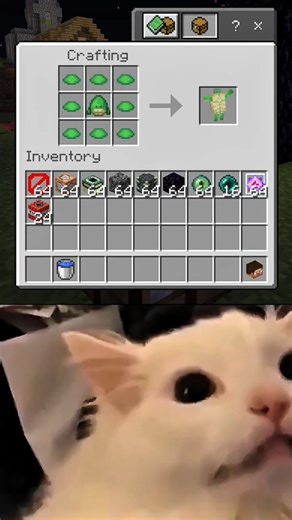 Minecraft Turtle Recipe Unlocked 🤫