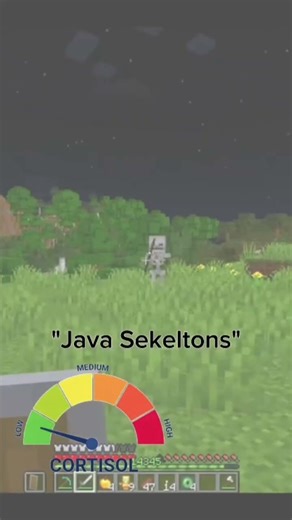 "Bedrock VS Java Skeletons🥀" | #minecraft #ytshorts #skeleton