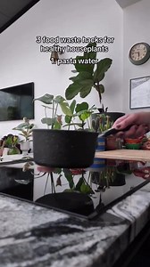 3 Food Waste Hacks For Healthy Houseplant | Leaf & Soul