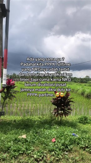 Masalah Validasi NRG PPPK 2026