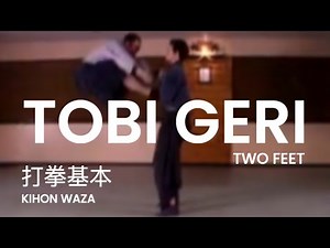 Taijutsu: Ryo Ashi Geri, leaping kick with two feet