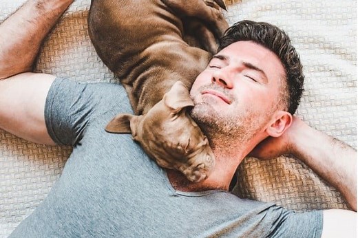 Why Does My Dog Sleep on My Head? 7 Reasons WHY - PetDT