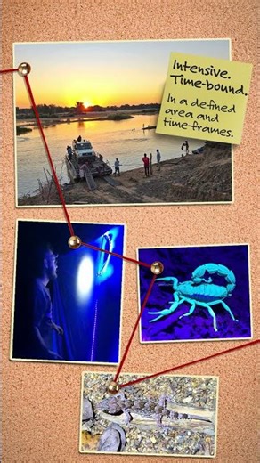 BIOBLITZ - a biodiversity expedition to find the unseen