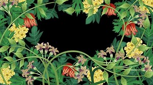 「Growing Plants Vines Animation On Black」の動画素材（ロイヤリティフリー）1036942760 | Shutterstock