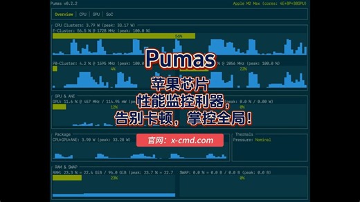 📥 Pumas - 苹果芯片性能监控利器，告别卡顿，掌控全局！