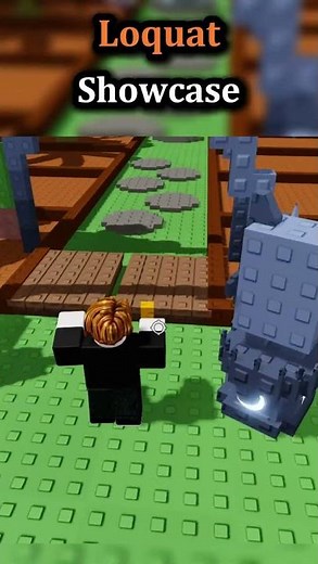 Loquat Showcase || Gag