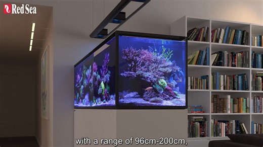 84 reactions | The REEFER Peninsula G3 reef-ready systems benefit from a fully redesigned flow system and new hydrodynamically superior piping, delivering up to 50% more circulation. They include a dual-side viewing layout and all the popular REEFER features, come with an extended warranty of up to 5 years, and are fully customizable with all your preferred equipment. For more information on the REEFER Peninsula G3 line, visit our website: https://bit.ly/4nF1caQ | Red Sea | Facebook
