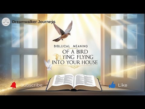 Spiritual Meaning of a Bird Flying Into Your House: Biblical Symbolism & Divine Messages